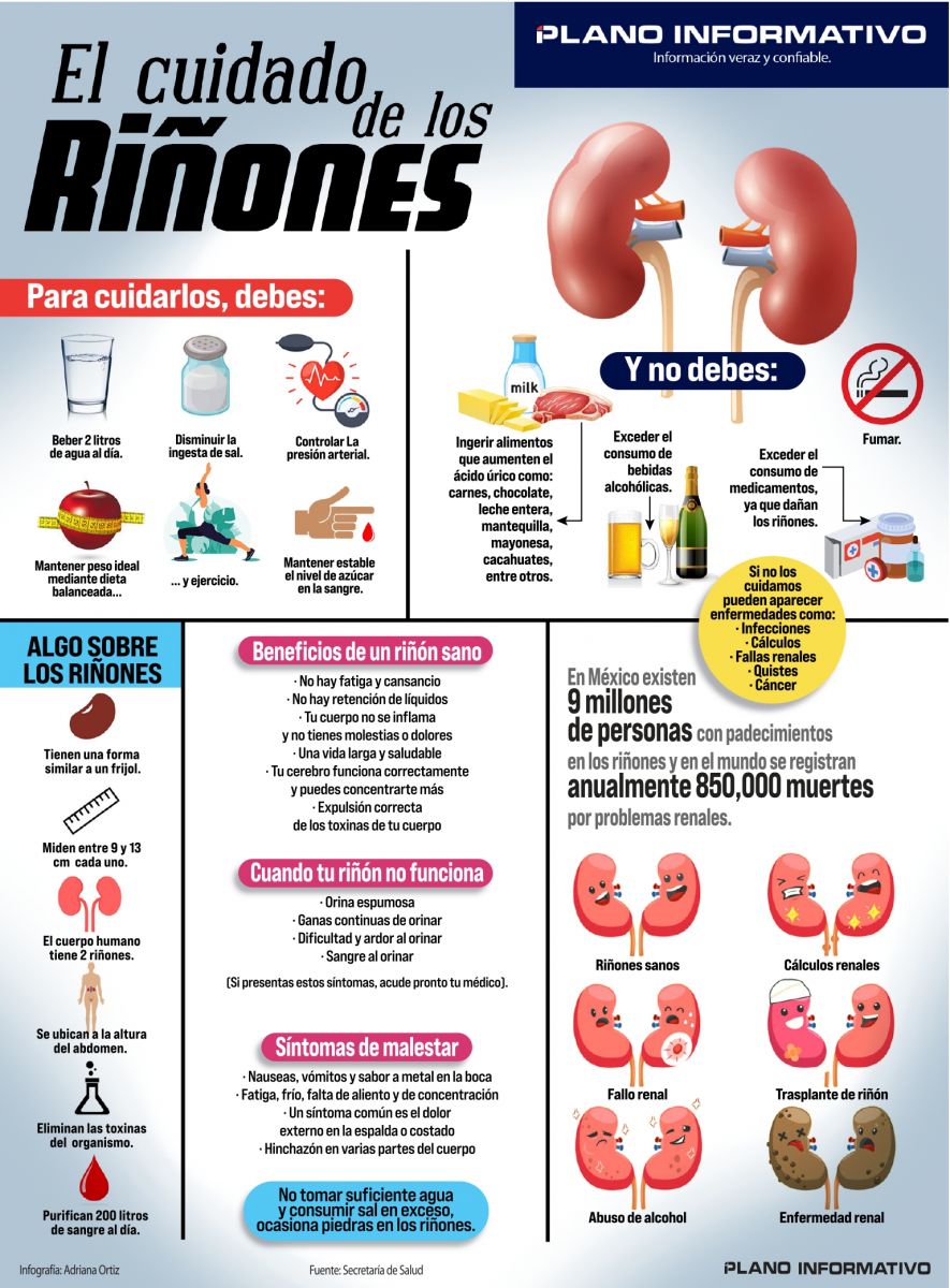 Lo Que Debes Hacer Para Cuidar Tus Riñones 9746